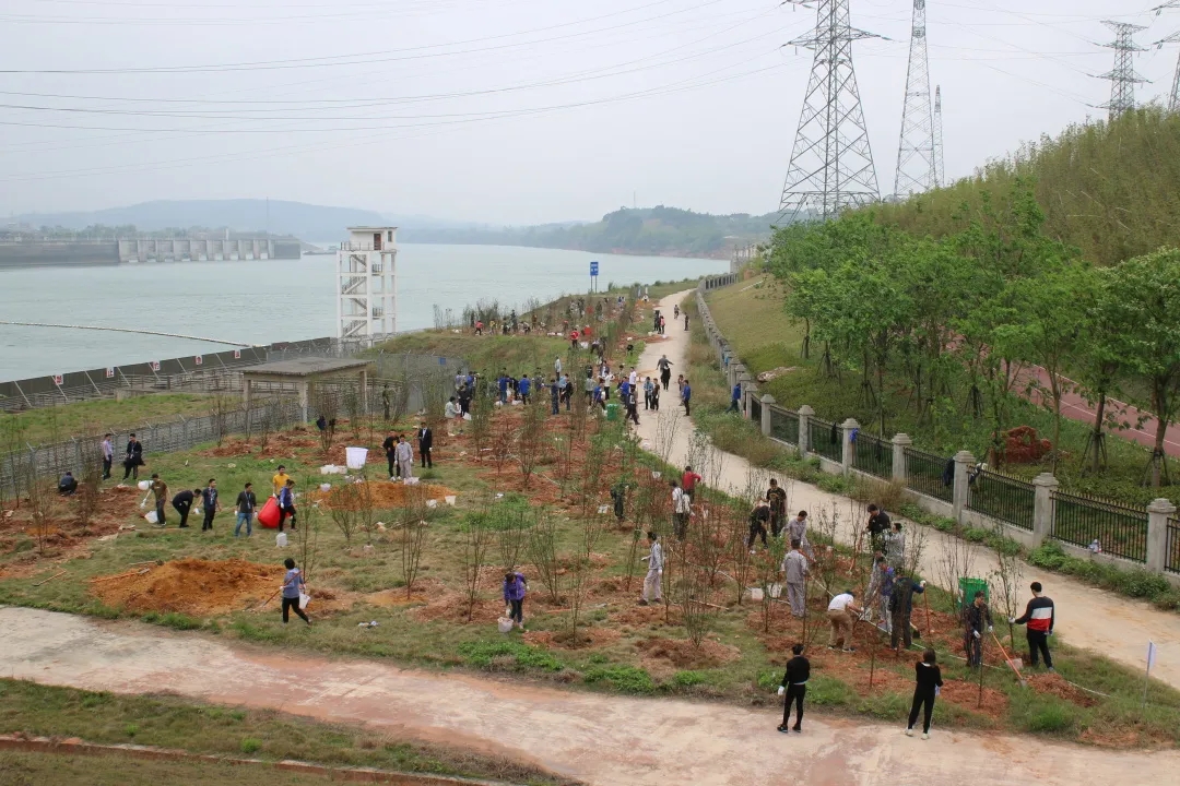 640.webp (6).jpg 640.webp (6).jpg